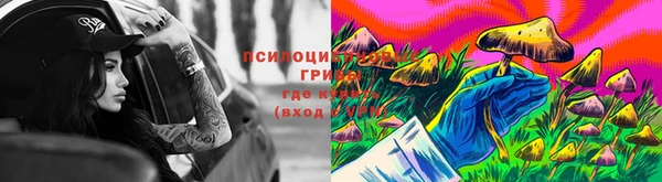 первитин Няндома