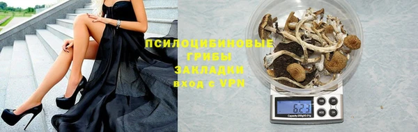 первитин Няндома