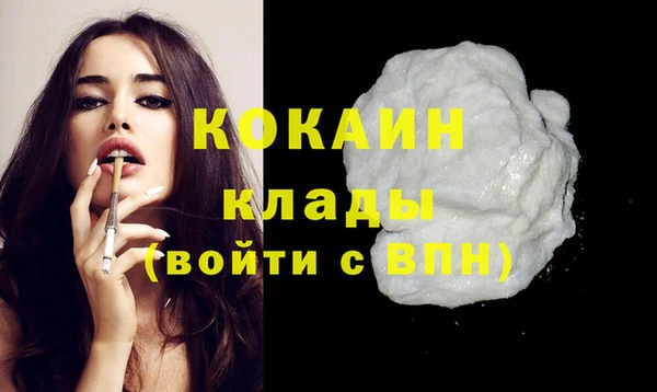 spice Новозыбков