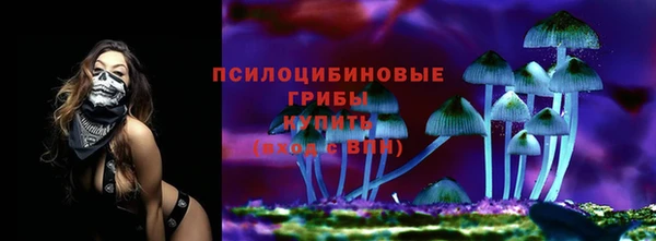 mix Дмитров