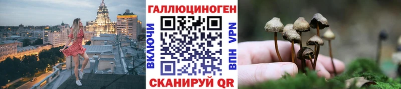 Галлюциногенные грибы GOLDEN TEACHER  Болхов 